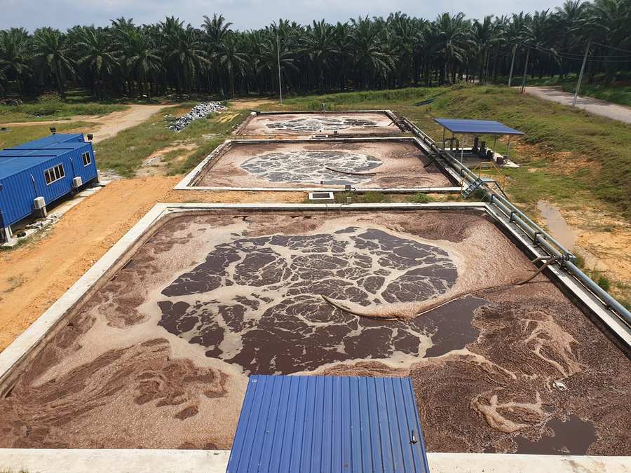 POME treatment lagoon